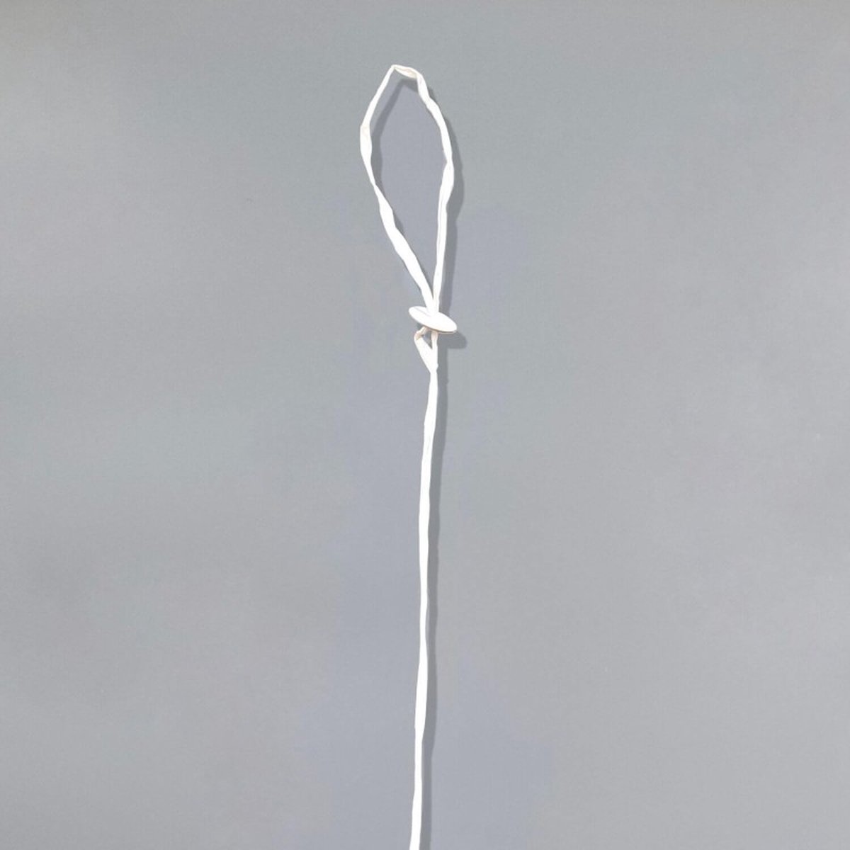 50 x AFBREEKBAAR Lint met auto-sluiting voor ballonnen [ean=sku